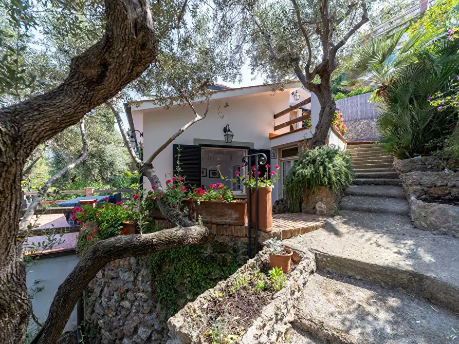 Immagine 36 di Villa in vendita  in Via Strada dei Fari 1 a Monte Argentario