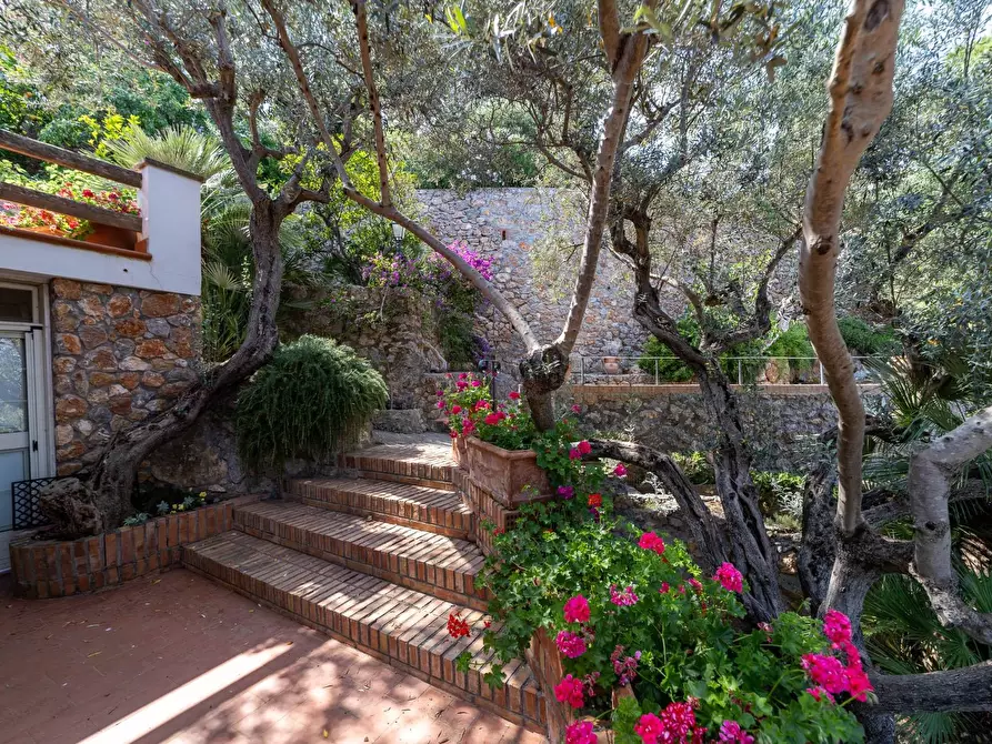 Immagine 37 di Villa in vendita  in Via Strada dei Fari 1 a Monte Argentario