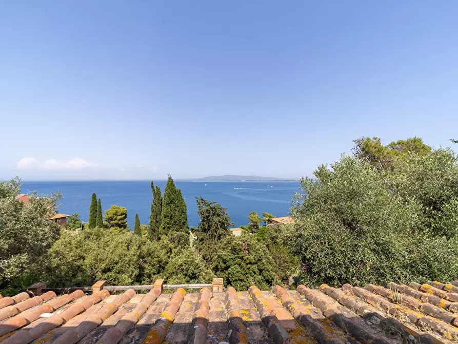 Immagine 21 di Villa in vendita  in Via Strada dei Fari 1 a Monte Argentario