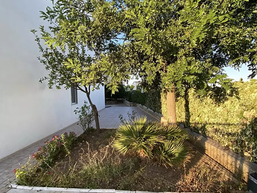 Immagine 6 di Appartamento in vendita  a Monte Sant'angelo