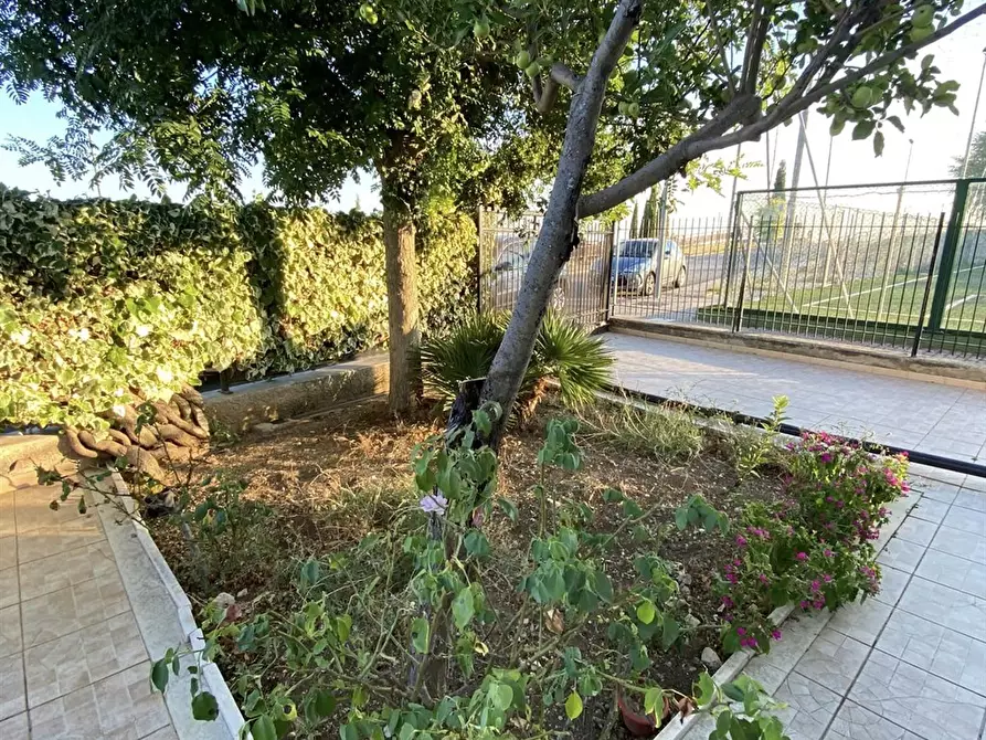 Immagine 10 di Appartamento in vendita  a Monte Sant'angelo