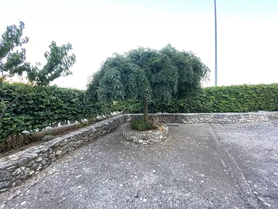 Immagine 22 di Appartamento in vendita  a Monte Sant'angelo