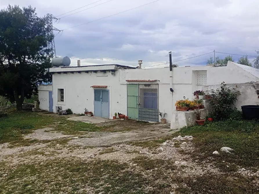 Immagine 2 di Rustico / casale in vendita  a San Giovanni Rotondo