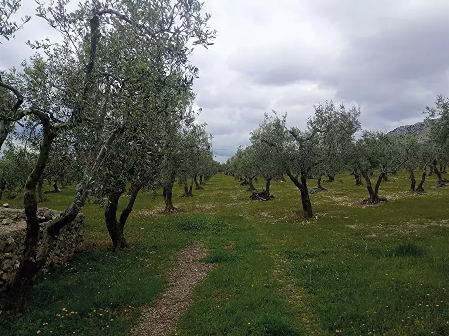 Immagine 4 di Rustico / casale in vendita  a San Giovanni Rotondo