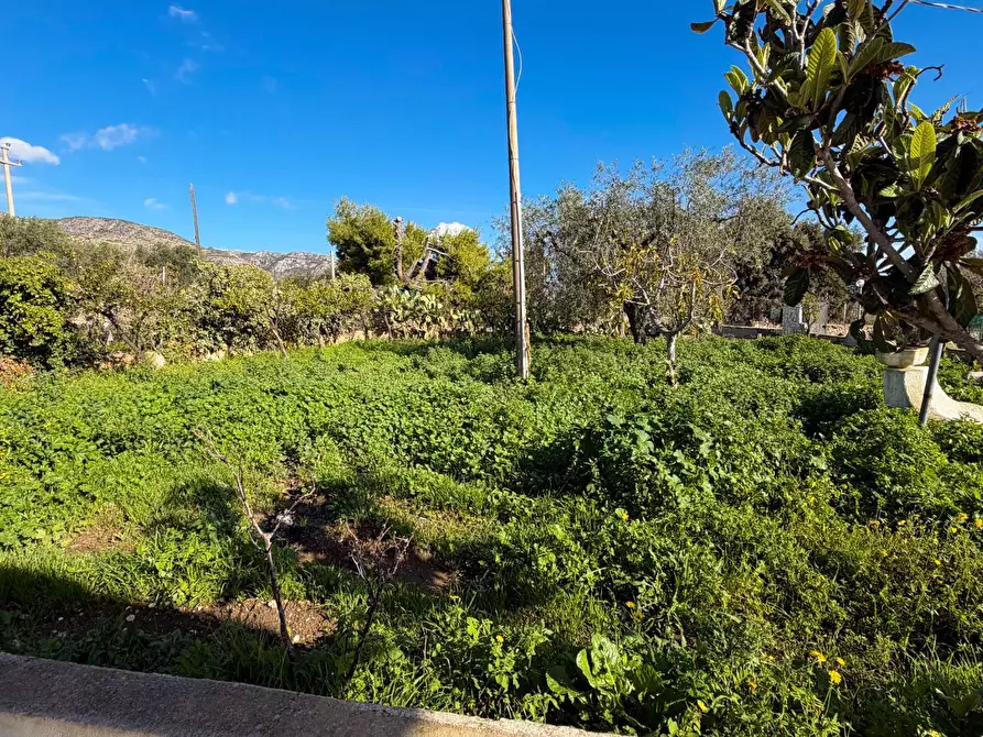 Immagine 13 di Villa in affitto  a Monte Sant'angelo