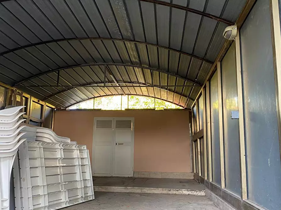 Immagine 5 di Villa in vendita  a Manfredonia