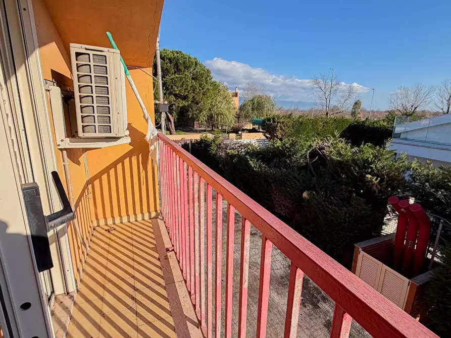 Immagine 5 di Villetta a schiera in vendita  a Manfredonia