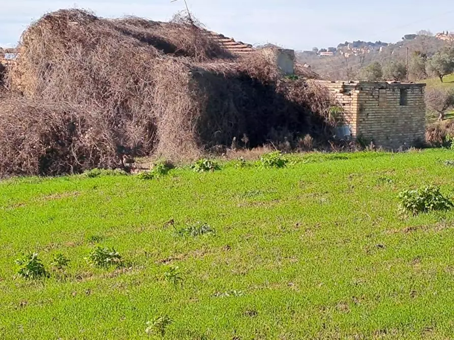Immagine 2 di Terreno residenziale in vendita  a Massignano