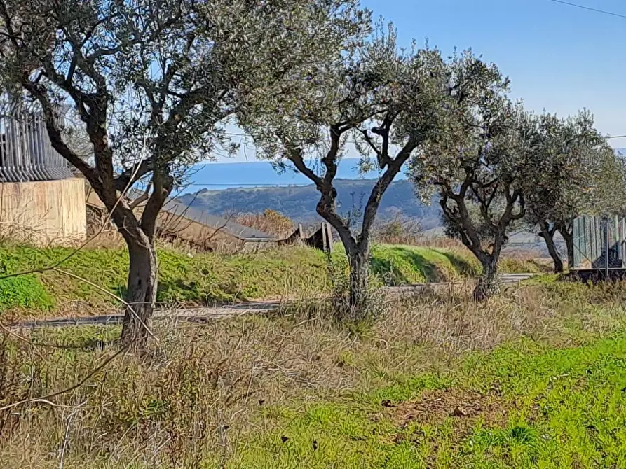 Immagine 3 di Terreno residenziale in vendita  a Massignano