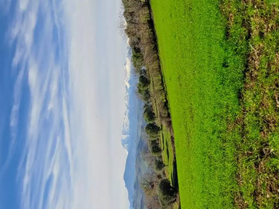 Immagine 4 di Terreno residenziale in vendita  a Massignano