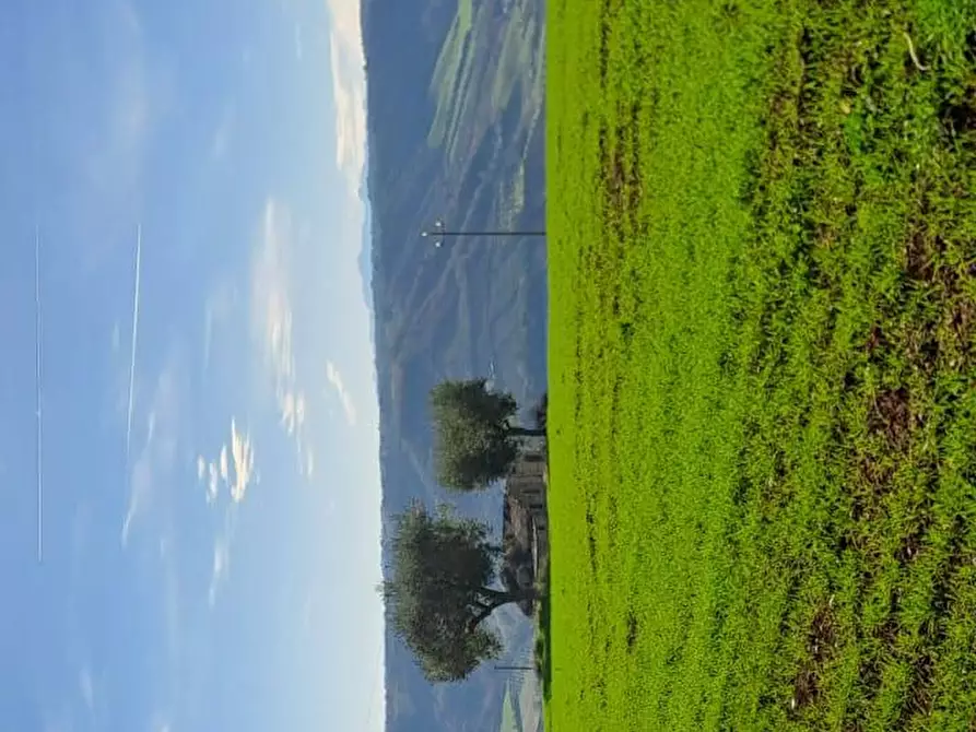 Immagine 5 di Terreno residenziale in vendita  a Massignano