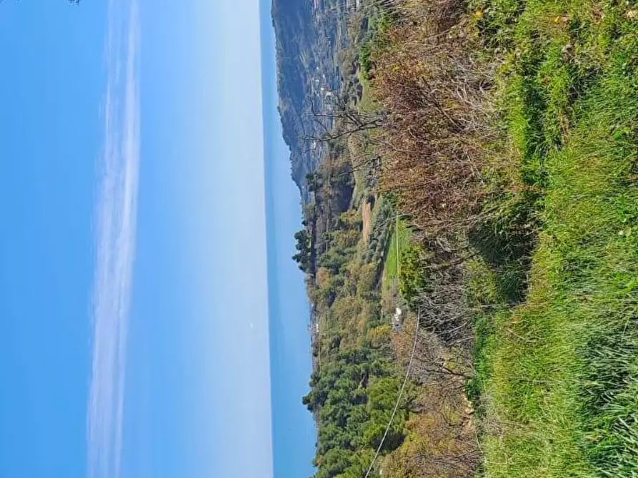 Immagine 6 di Terreno residenziale in vendita  a Massignano