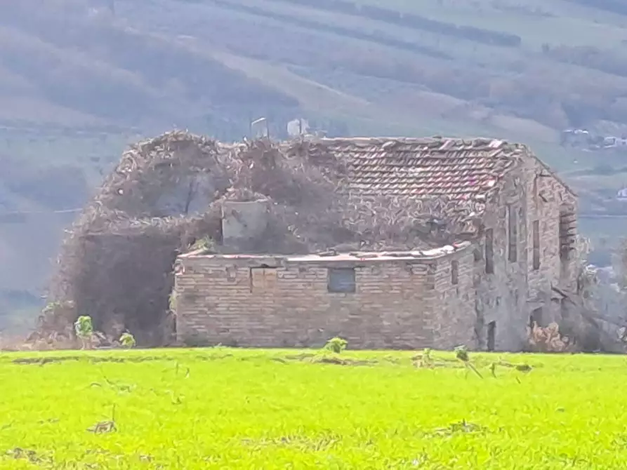 Immagine 7 di Terreno residenziale in vendita  a Massignano