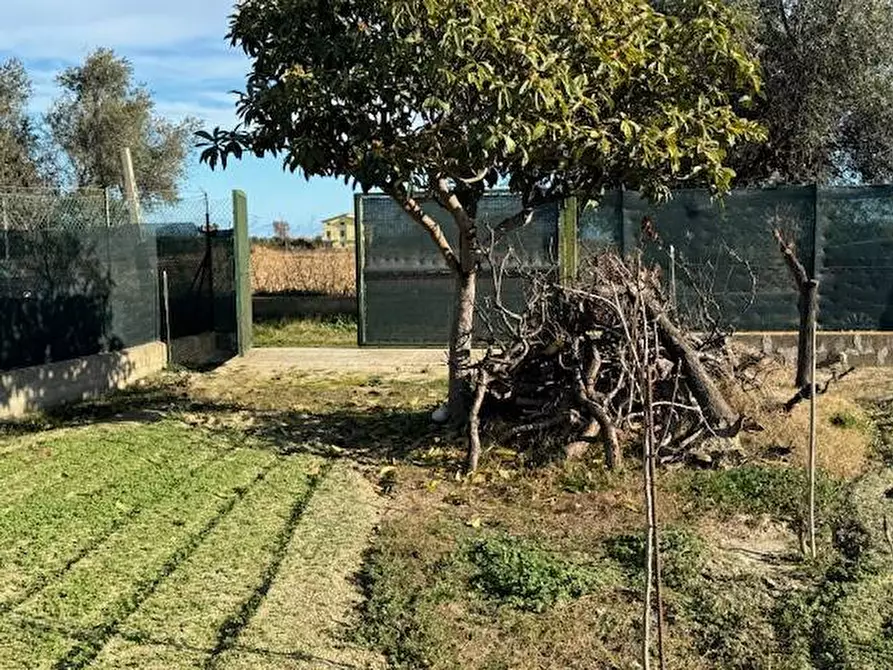 Immagine 1 di Terreno agricolo in vendita  a San Benedetto Del Tronto