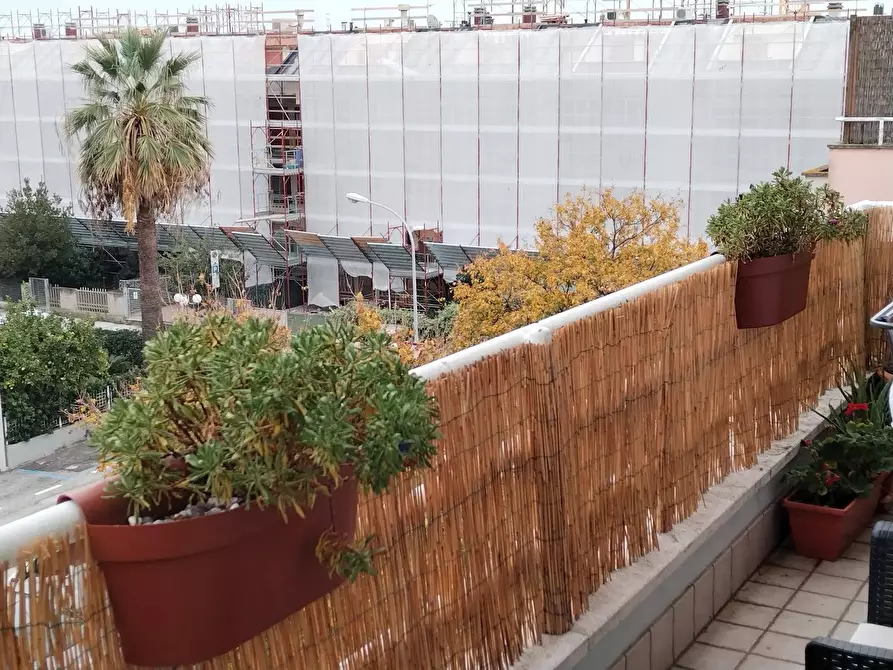 Immagine 10 di Appartamento in affitto  a San Benedetto Del Tronto