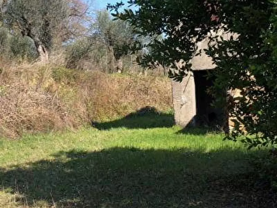 Immagine 5 di Rustico / casale in vendita  a Massignano