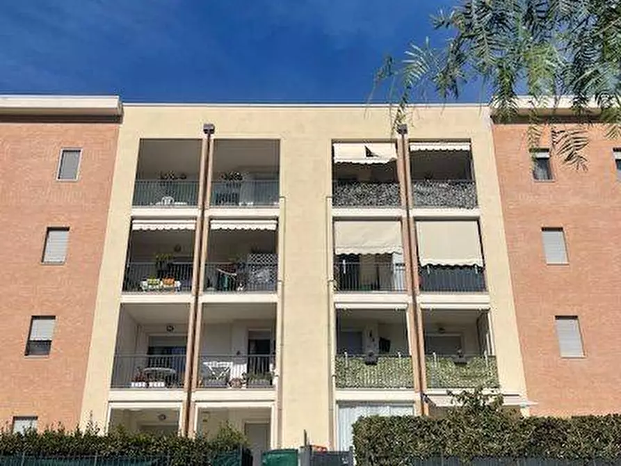 Immagine 15 di Appartamento in vendita  a Grottammare