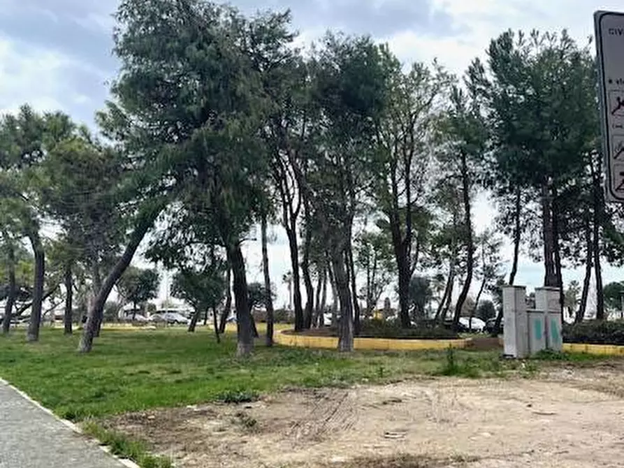 Immagine 26 di Appartamento in affitto  a Civitanova Marche