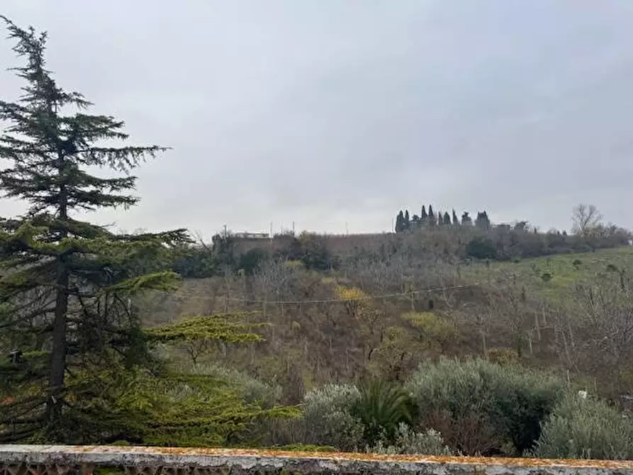 Immagine 11 di Casa indipendente in vendita  a Montalto Delle Marche