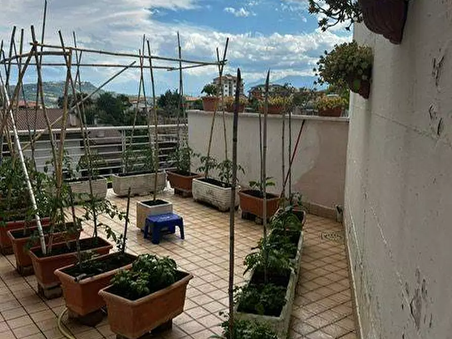 Immagine 14 di Appartamento in vendita  a Montefiore Dell'aso