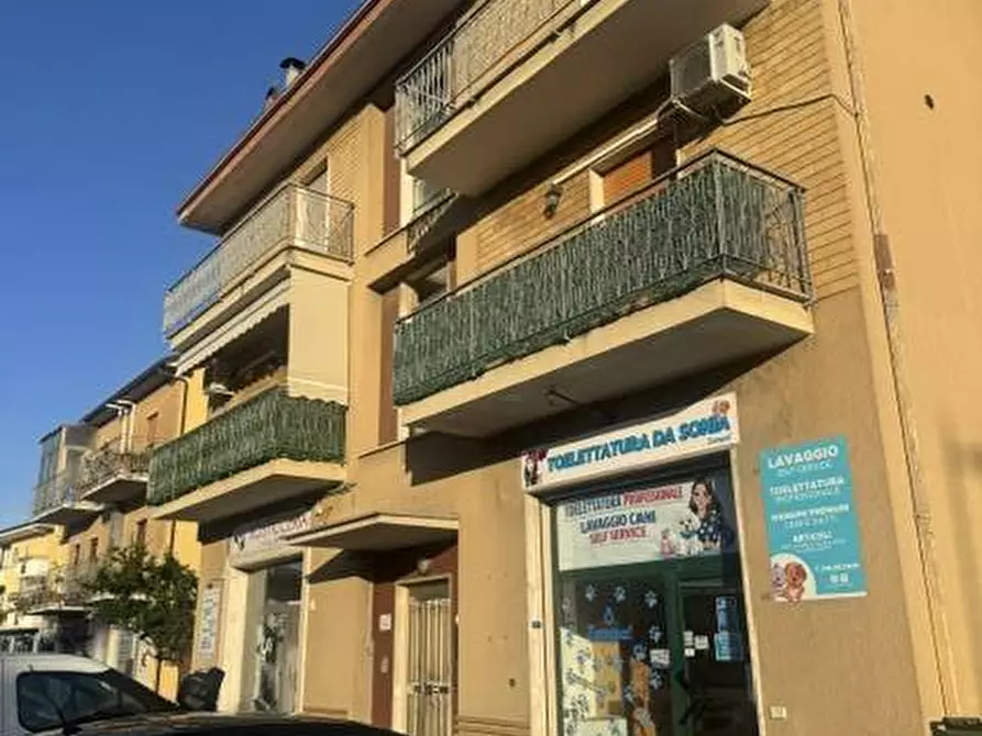 Immagine 2 di Appartamento in vendita  a Monteprandone