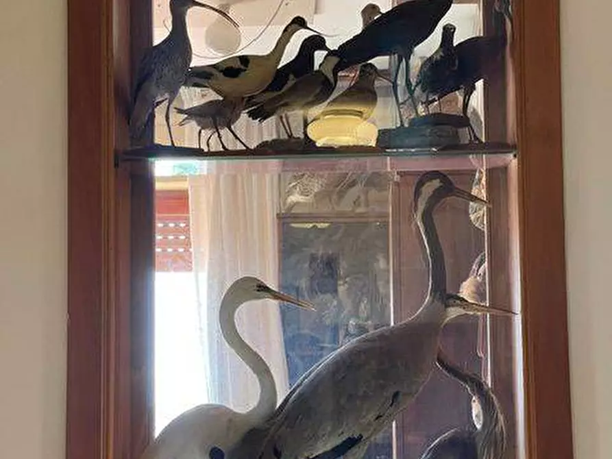 Immagine 10 di Appartamento in vendita  a San Benedetto Del Tronto