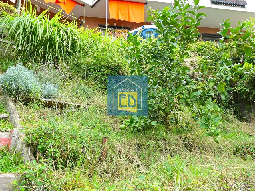 Immagine 44 di Appartamento in vendita  in Via Rusca 53 a Savona