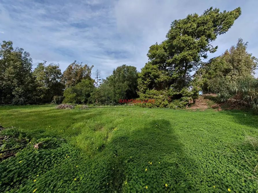 Immagine 21 di Villa in vendita  in Via dei canalotti a Santa Croce Camerina