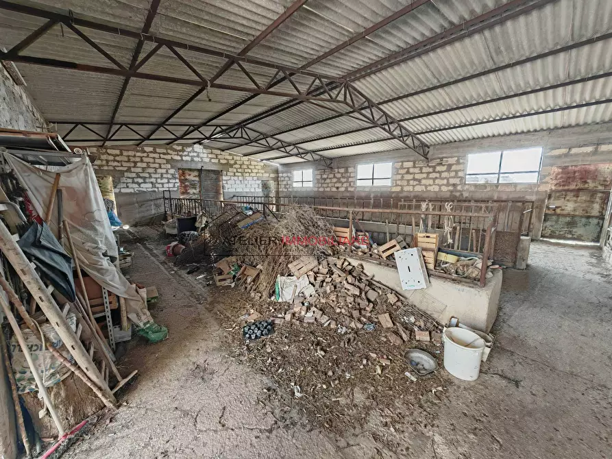 Immagine 18 di Villa in vendita  in C.da Torre Mastro snc a Ragusa