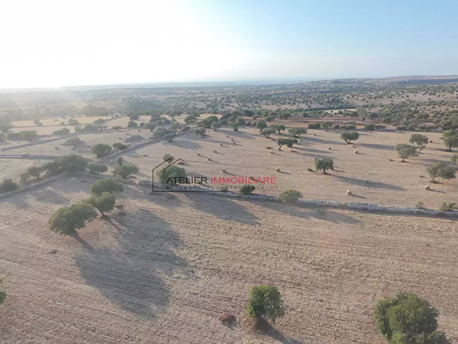 Immagine 21 di Villa in vendita  in C.da Torre Mastro snc a Ragusa