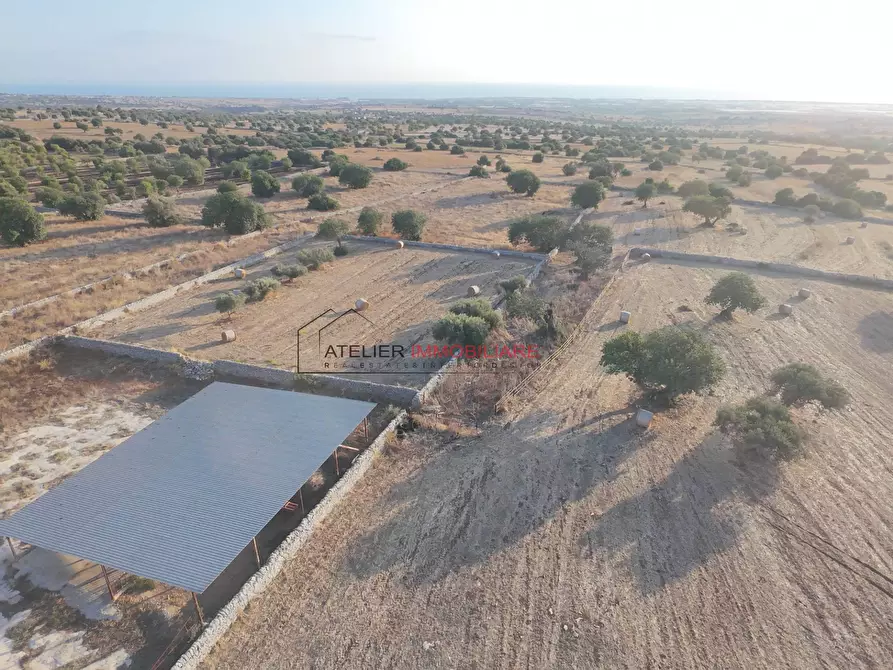 Immagine 26 di Villa in vendita  in C.da Torre Mastro snc a Ragusa