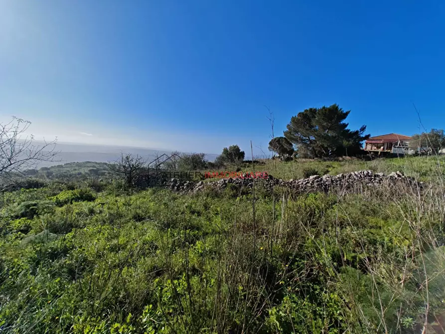 Immagine 9 di Terreno residenziale in vendita  in C.da Pizzillo a Ragusa