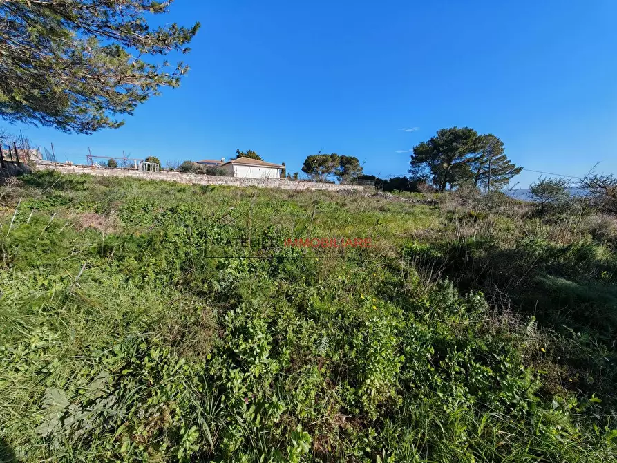 Immagine 12 di Terreno residenziale in vendita  in C.da Pizzillo a Ragusa