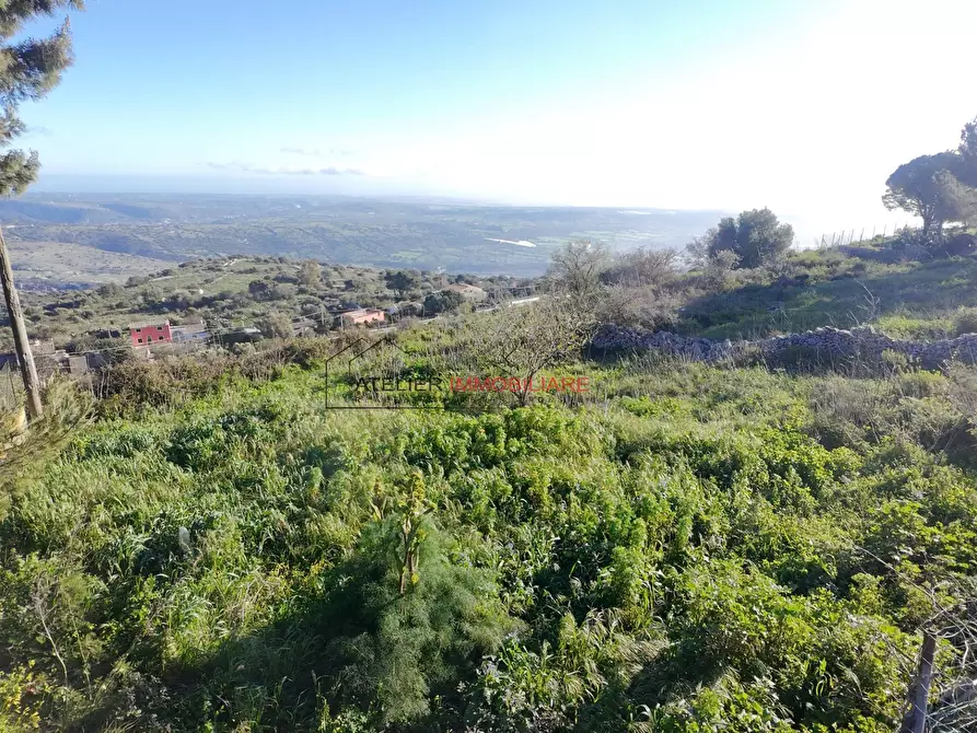 Immagine 16 di Terreno residenziale in vendita  in C.da Pizzillo a Ragusa