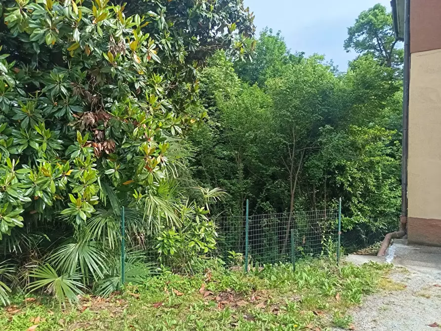 Immagine 11 di Villa in vendita  in Giuseppe Negrini a Cermenate