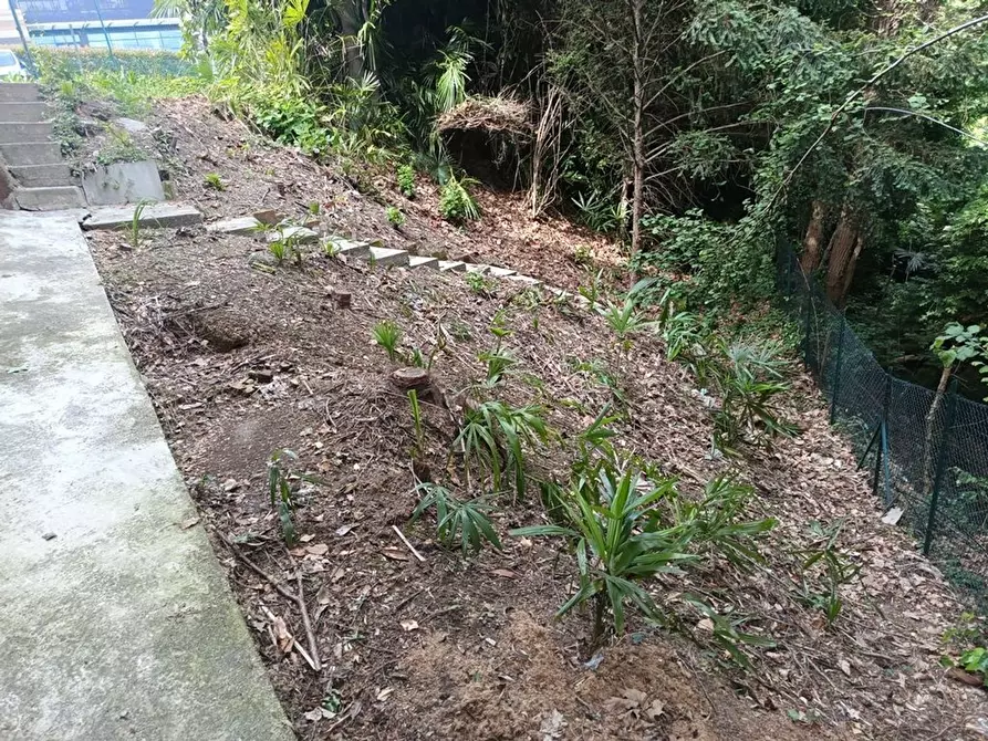 Immagine 17 di Villa in vendita  in Giuseppe Negrini a Cermenate