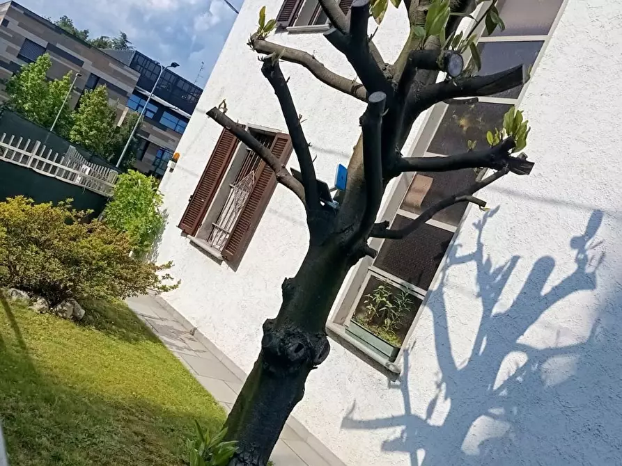 Immagine 13 di Villa in vendita  in Giuseppe Negrini 34 a Cermenate