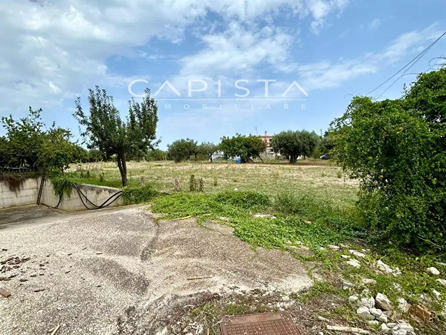 Immagine 14 di Casa indipendente in vendita  in Contrada Casone a Ortona