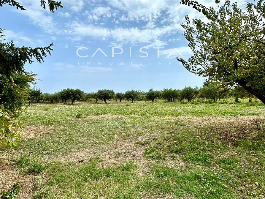 Immagine 15 di Casa indipendente in vendita  in Contrada Casone a Ortona