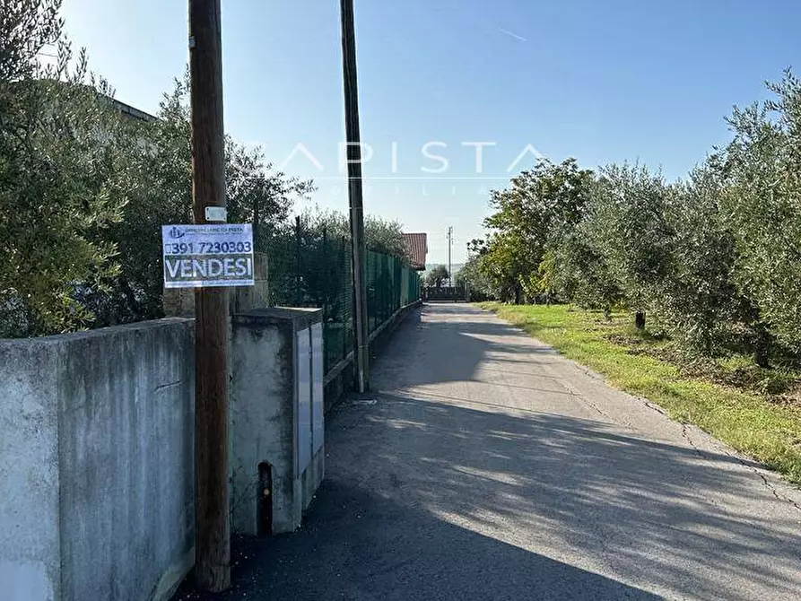 Immagine 5 di Terreno agricolo in vendita  a San Vito Chietino