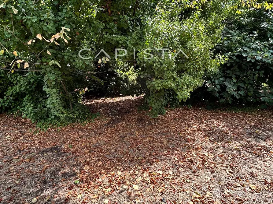 Immagine 10 di Villa in vendita  in Via Lanciano a Ortona