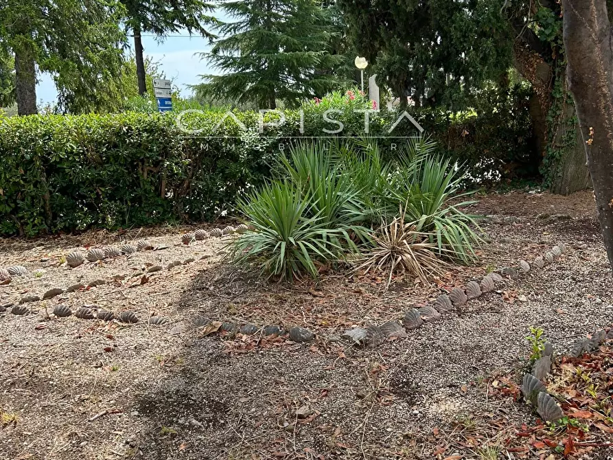 Immagine 6 di Villa in vendita  in Via Lanciano a Ortona