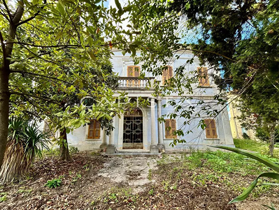 Immagine 2 di Villa in vendita  in Via Lanciano a Ortona
