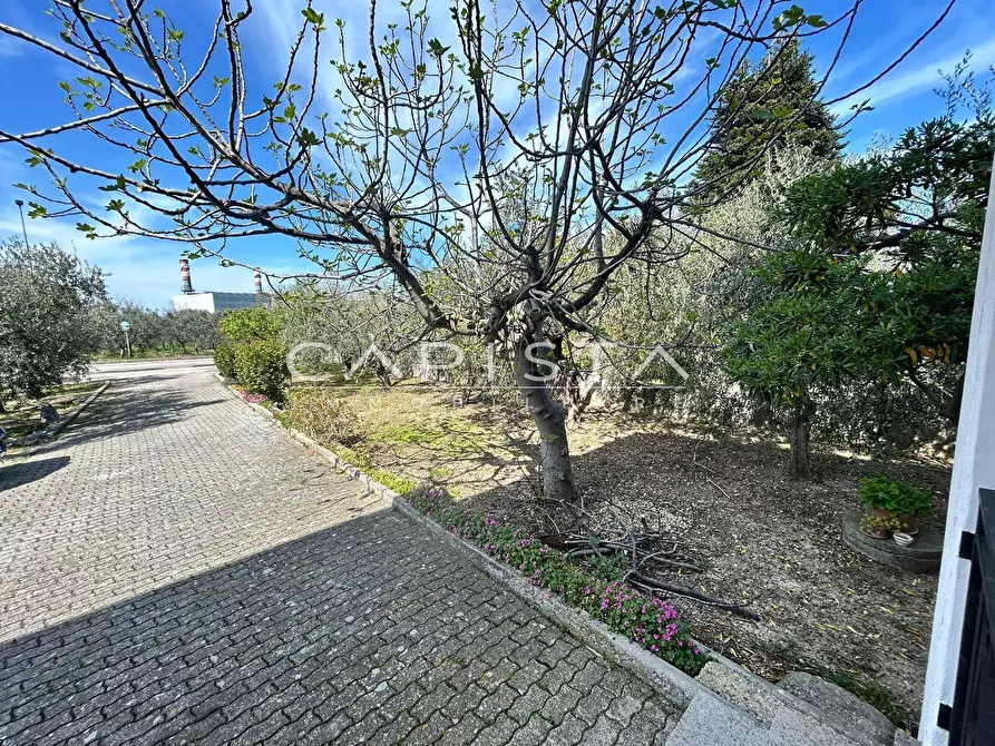 Immagine 33 di Villa in vendita  in Contrada ALBORETO a Ortona
