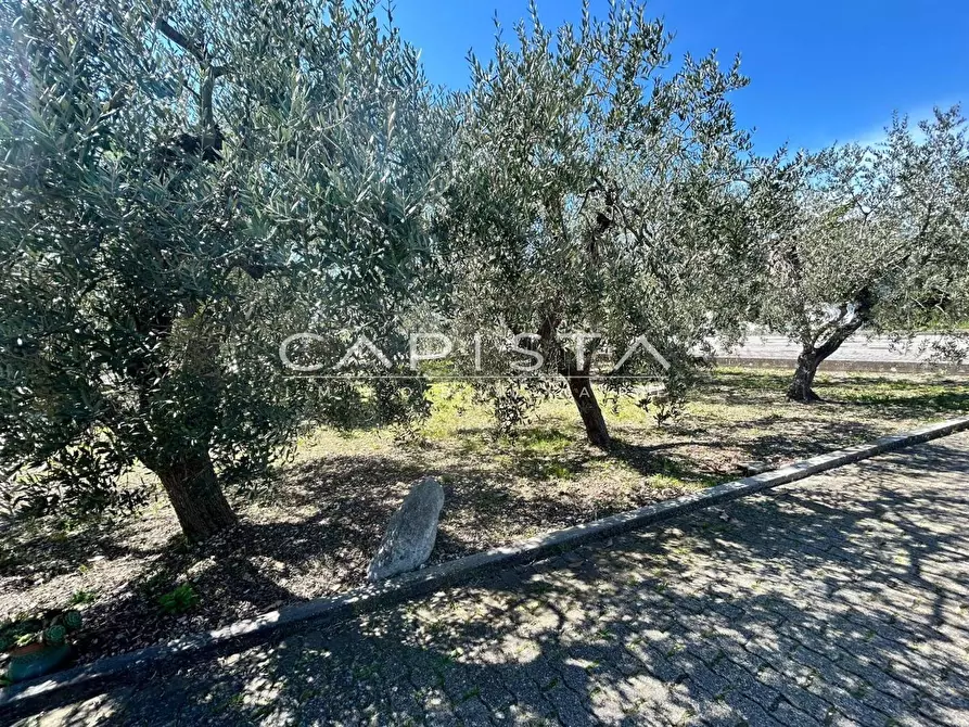 Immagine 34 di Villa in vendita  in Contrada ALBORETO a Ortona