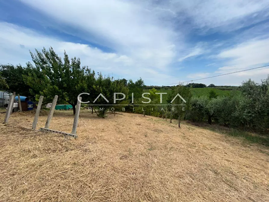Immagine 3 di Appartamento in vendita  in Contrada Morrecine a Ortona