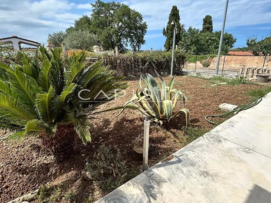 Immagine 13 di Casa semindipendente in vendita  in via palazzo a Ortona