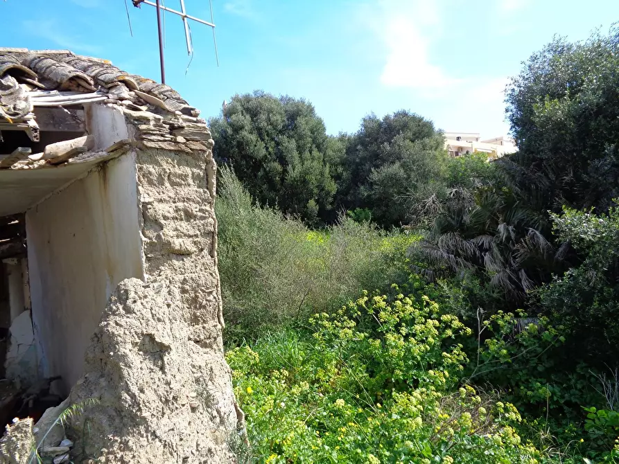Immagine 4 di Terreno agricolo in vendita  in Italia a Gonnesa