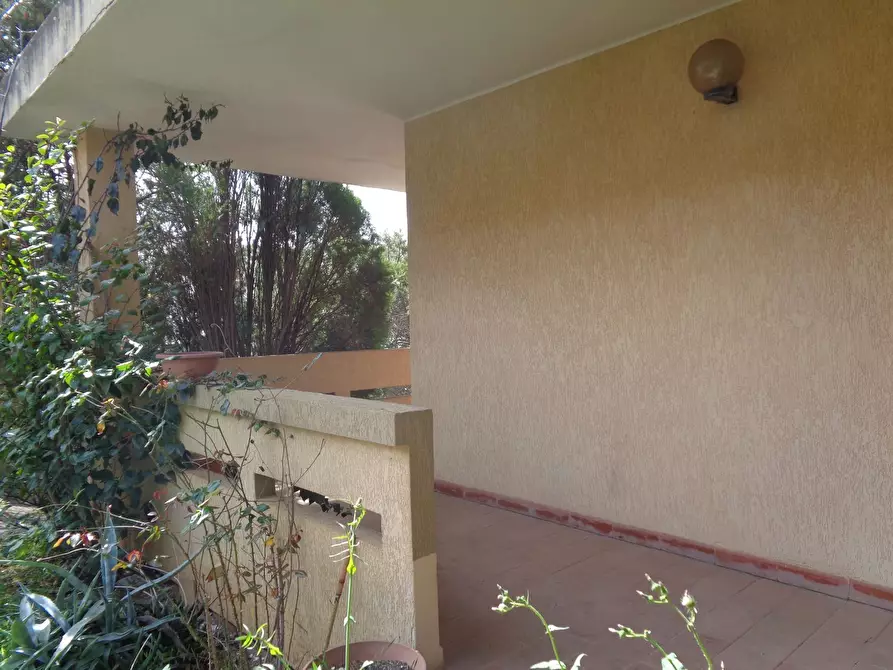 Immagine 4 di Villa in vendita  in Monte Tasua 12 a Carbonia