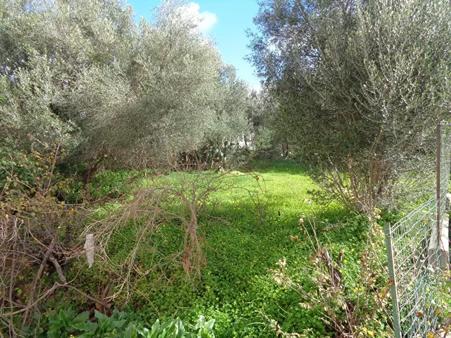 Immagine 3 di Appartamento in vendita  in Sarrabus 17 a Carbonia